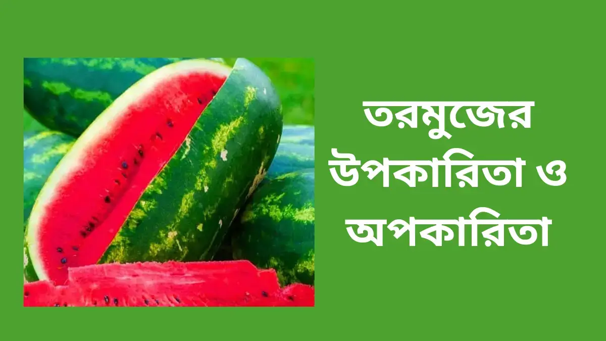 তরমুজের উপকারিতা ও অপকারিতা