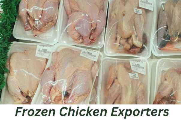 Frozen Chicken Exporters